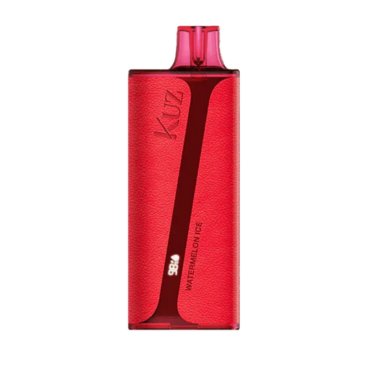 VAPORIZADOR KUZ 9.000 PUFF