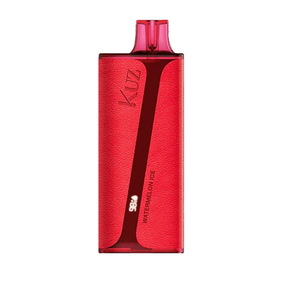 VAPORIZADOR KUZ 9.000 PUFF